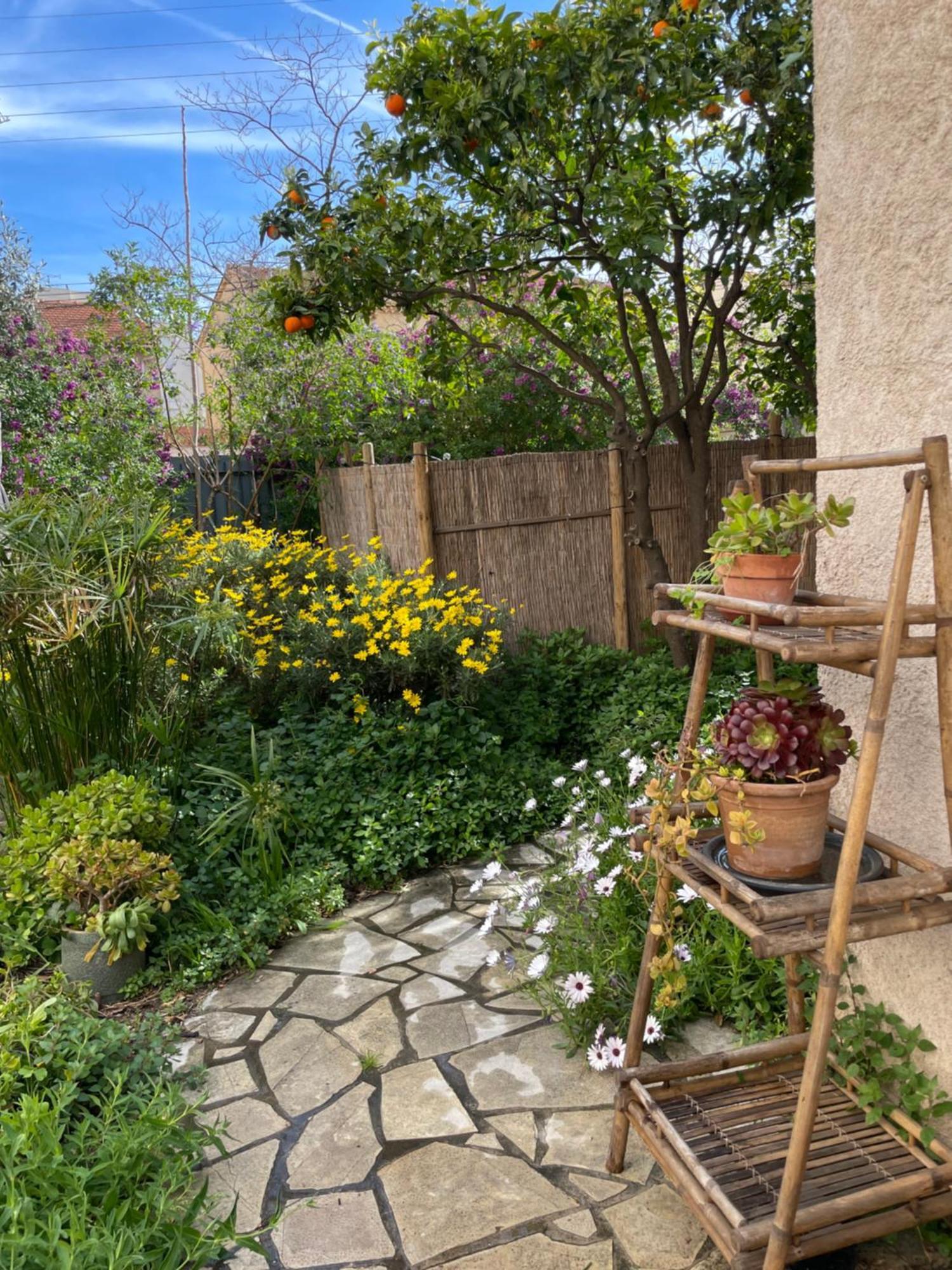 2 Appartements Calmes Fréjus 外观 照片