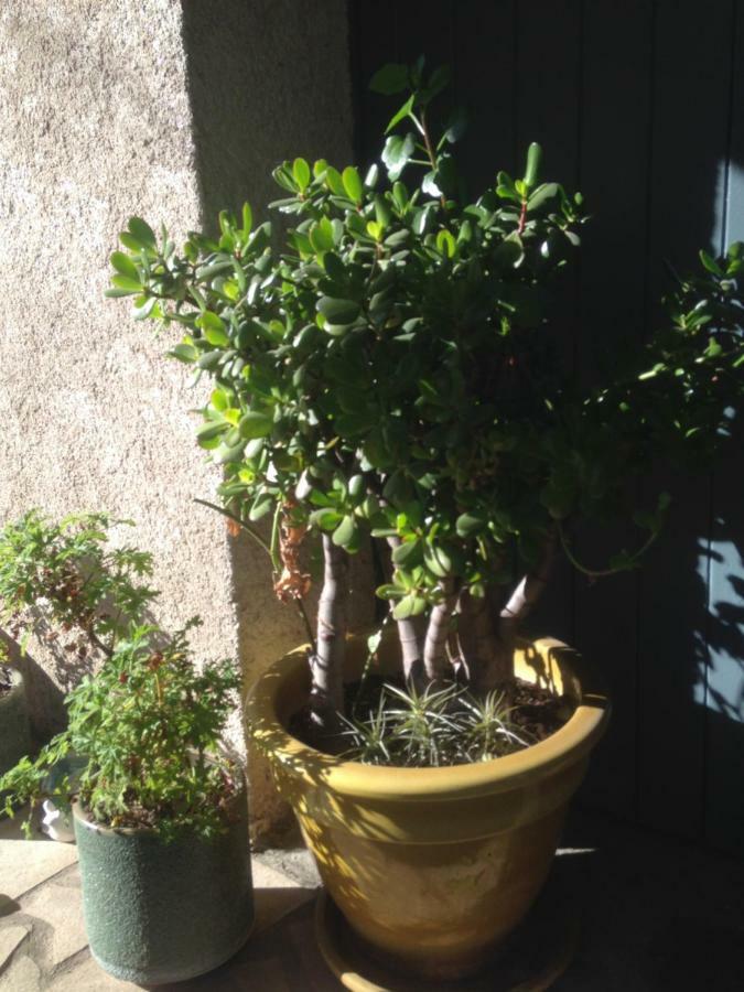 2 Appartements Calmes Fréjus 外观 照片