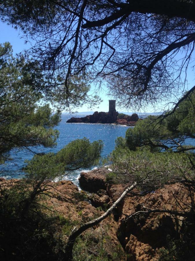 2 Appartements Calmes Fréjus 外观 照片