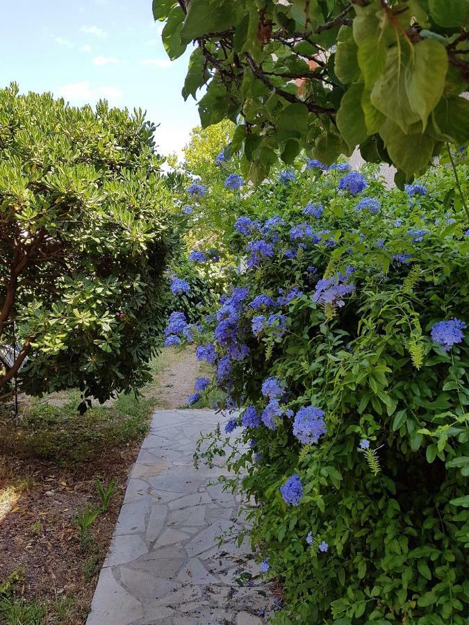 2 Appartements Calmes Fréjus 外观 照片