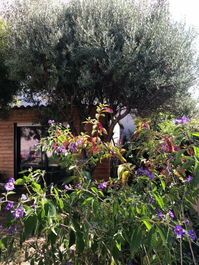 2 Appartements Calmes Fréjus 外观 照片